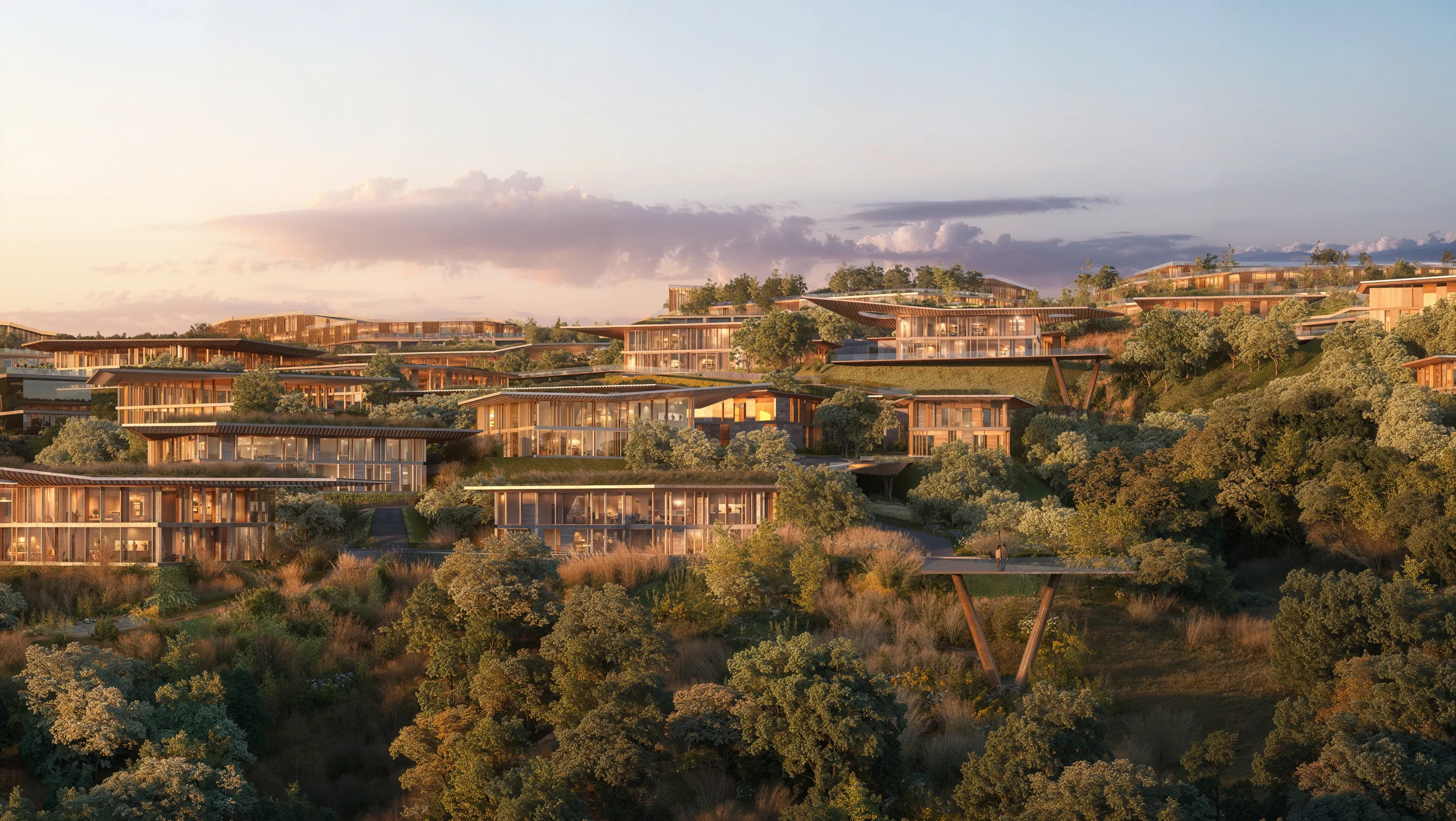 Mira Verde residences and planted roofs among woodland at golden hour